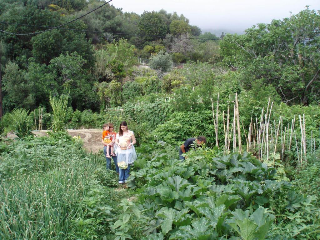 Marinos Studios At Lourdata Village Buitenkant foto