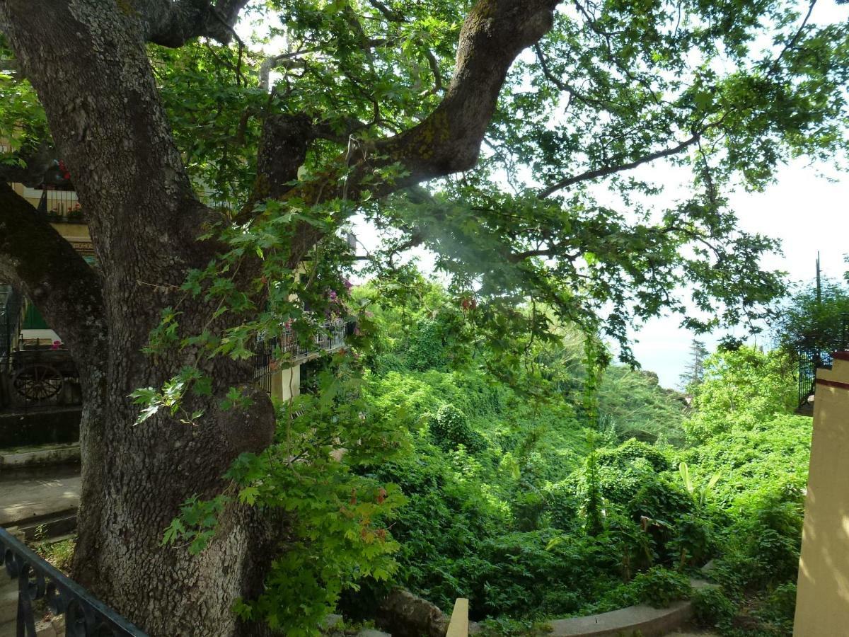 Marinos Studios At Lourdata Village Buitenkant foto